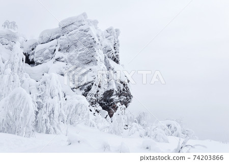 frozen rock and trees with rime-covered branches on a mountain pass after blizzard frozen rock and trees with rime-covered branches on a mountain pass after blizzard 74203866