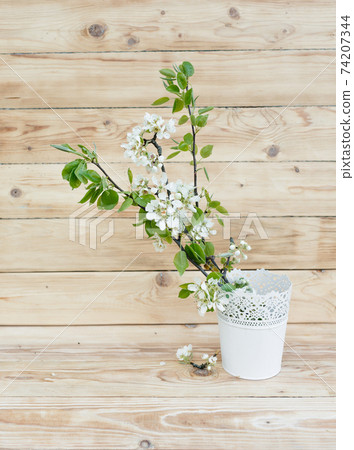 apple tree flowers in a white vase on a wooden background apple tree flowers in a white vase on a wooden background 74207344