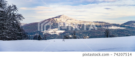Freezy and snowy wintertime landscape 74207514
