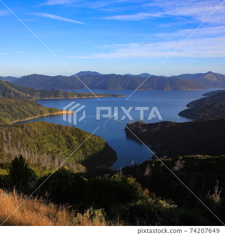 Endeavour Inlet, bay in the Queen Charlotte Sound. New Zealand. Endeavour Inlet, bay in the Queen Charlotte Sound. New Zealand. 74207649