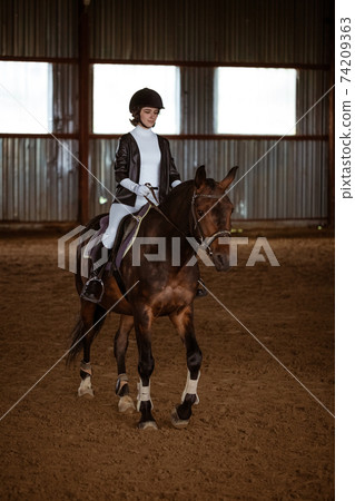 Young woman is engaged in equestrian sports 74209363