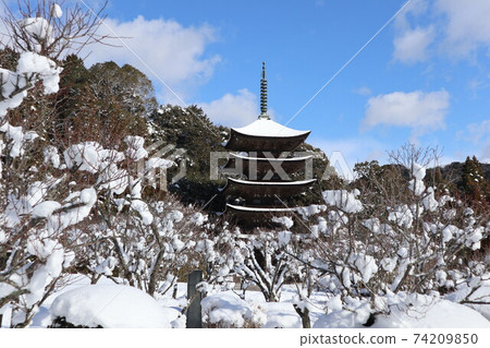 Snow Yamaguchi Rurikoji Temple 74209850
