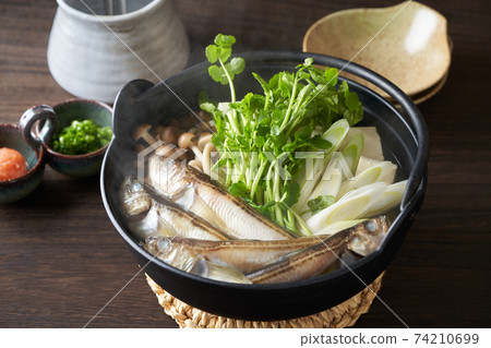 Akita's specialty Shottsuru hot pot 74210699