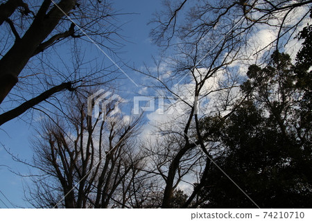 I took a walk in Oda Ryokuchi on a sunny day 74210710