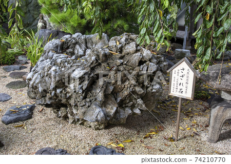 沼津市原市正音寺的撒扎雷西 74210770