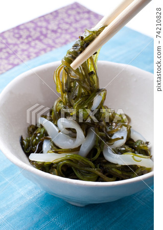 Squid somen mekabu Squid somen mekabu 74210828