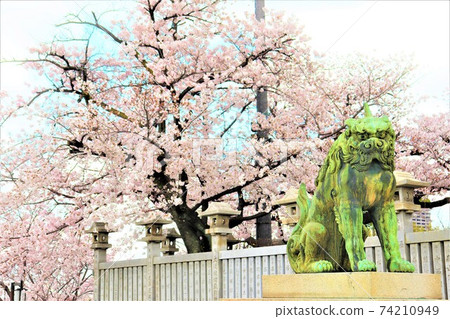 Naritasan Fudoson Spring Landscape Naritasan Fudoson Spring Landscape 74210949