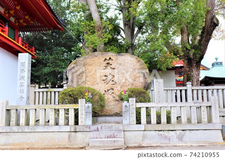 Naritasan Fudoson Spring Landscape 74210955