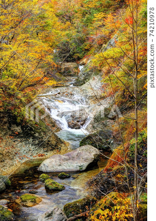 Upper part of Futakuchi Gorge in Kinshu Upper part of Futakuchi Gorge in Kinshu 74210978