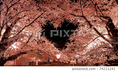 [青森]弘前公園的天空中漂浮的櫻花的心痕 74211241