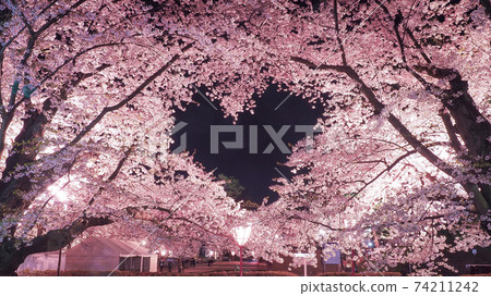 [Aomori] Heart mark of cherry blossoms floating in the sky of Hirosaki Park 74211242