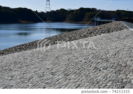 冬季蘇里池塘梅花森林 74211335