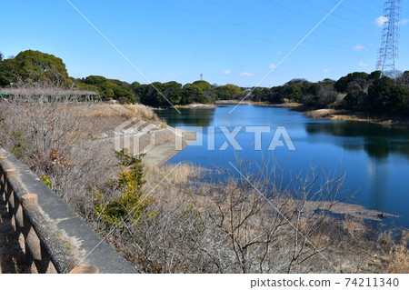 冬季蘇里池塘梅花森林 冬季蘇里池塘梅花森林 74211340