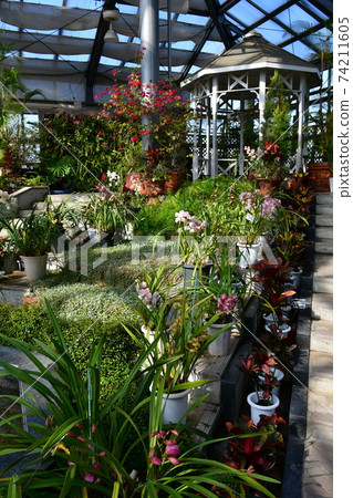 Gardening winter greenhouse Gardening winter greenhouse 74211605
