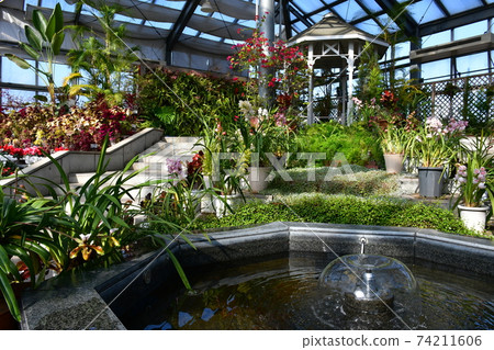 Gardening winter greenhouse Gardening winter greenhouse 74211606