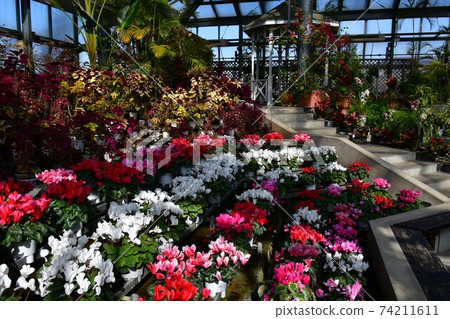 園藝冬季溫室 74211611