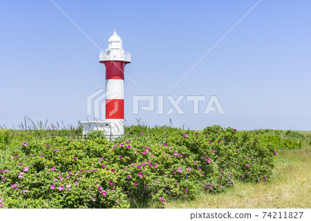 Hamanasunooka Park Ishikari City 74211827