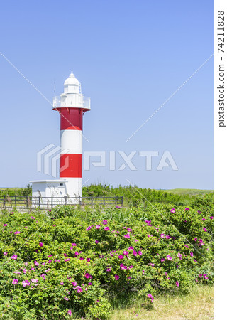 Hamanasunooka Park Ishikari City 74211828