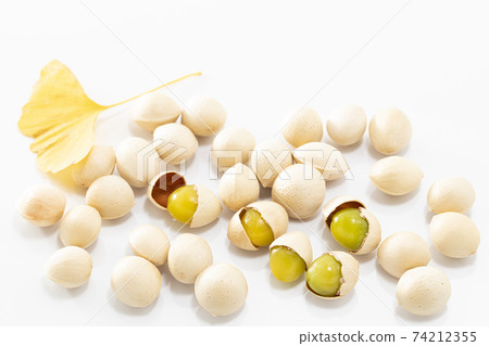 Ginkgo with ginkgo leaves on a white background 74212355