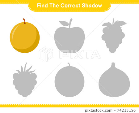 Find the correct shadow. Find and match the correct shadow of Honey Melon. Educational children game, printable worksheet, vector illustration 74213156
