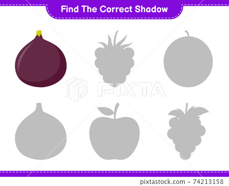 Find the correct shadow. Find and match the correct shadow of Fig. Educational children game, printable worksheet, vector illustration 74213158