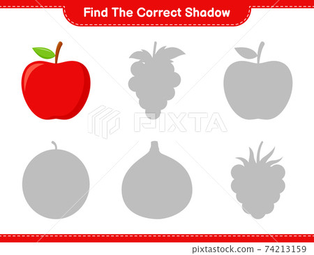 Find the correct shadow. Find and match the correct shadow of Apple. Educational children game, printable worksheet, vector illustration 74213159