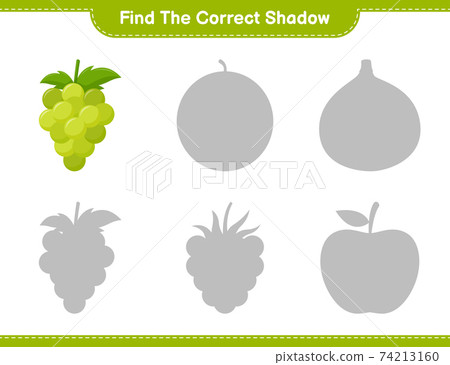 Find the correct shadow. Find and match the correct shadow of Grape. Educational children game, printable worksheet, vector illustration 74213160