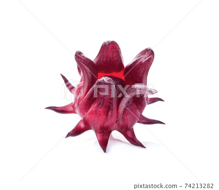 Roselle isolated on white background Roselle isolated on white background 74213282
