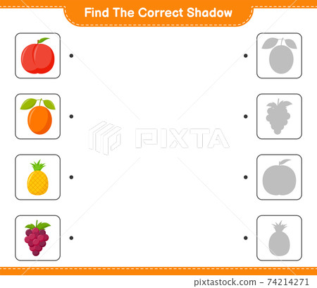 ind the correct shadow. Find and match the correct shadow of Fruits. Educational children game, printable worksheet, vector illustration 74214271