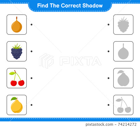 ind the correct shadow. Find and match the correct shadow of Fruits. Educational children game, printable worksheet, vector illustration 74214272
