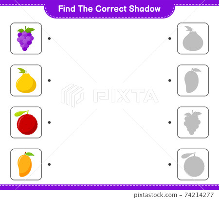 ind the correct shadow. Find and match the correct shadow of Fruits. Educational children game, printable worksheet, vector illustration 74214277