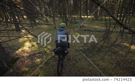 The woman travel on mixed terrain cycle touring with bike bikepacking. The traveler journey with bicycle bags. Magic forest park. The woman travel on mixed terrain cycle touring with bike bikepacking. The traveler journey with bicycle bags. Magic forest park. 74214423