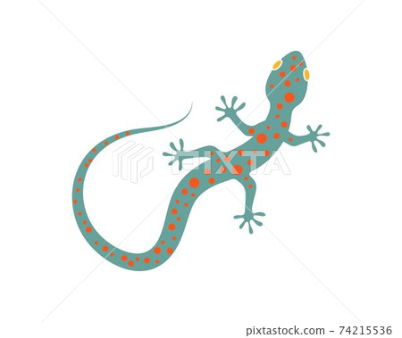 Gecko logo vector icon illustration Gecko logo vector icon illustration 74215536