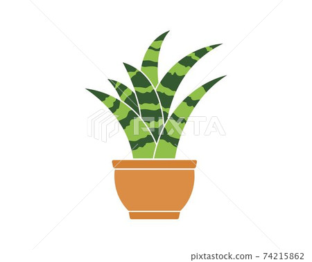 plant in pot icon logo vector illustration design 74215862