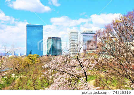 Spring Osaka cityscape from Osaka Castle Park Spring Osaka cityscape from Osaka Castle Park 74216319