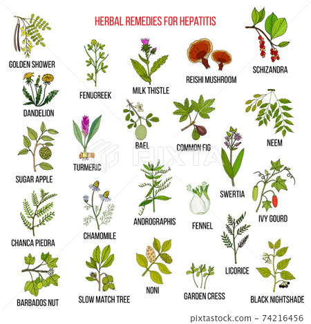 Best herbal remedies for hepatitis 74216456
