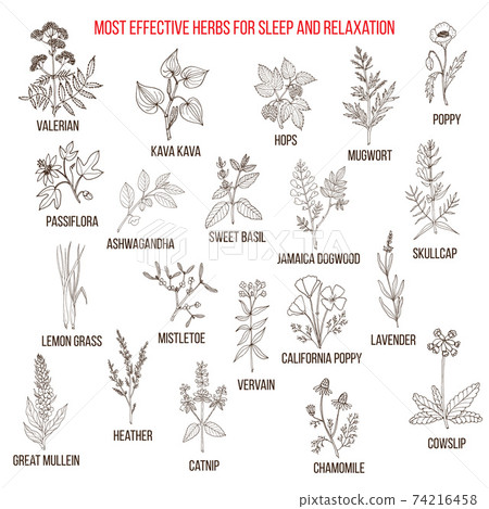 Best herbal remedies for sleep and relaxation 74216458