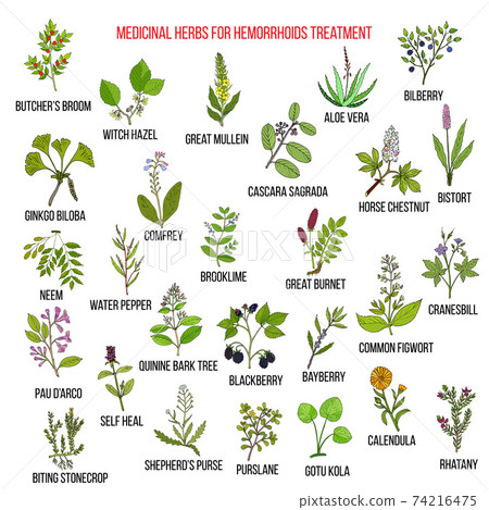 Best herbal remedies for hemorrhoids 74216475