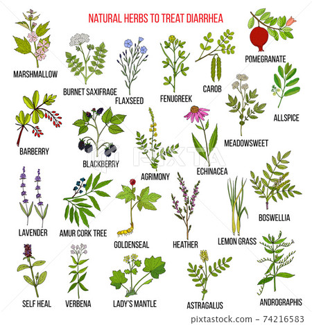 Best medicinal herbs to treat diarrhea 74216583