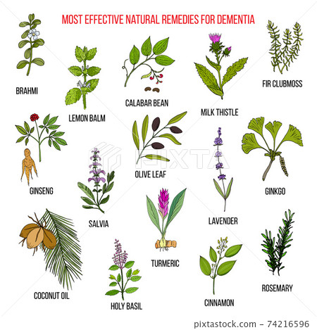 Best herbal remedies for dementia Best herbal remedies for dementia 74216596