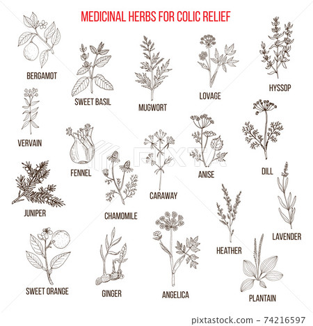Best herbal remedies for colic relief Best herbal remedies for colic relief 74216597
