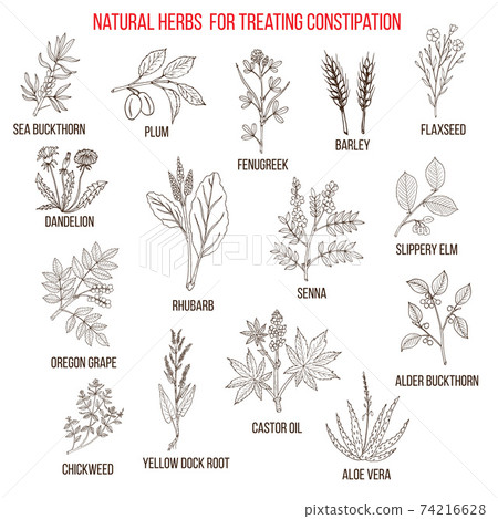 Best herbal remedies for treating constipation 74216628