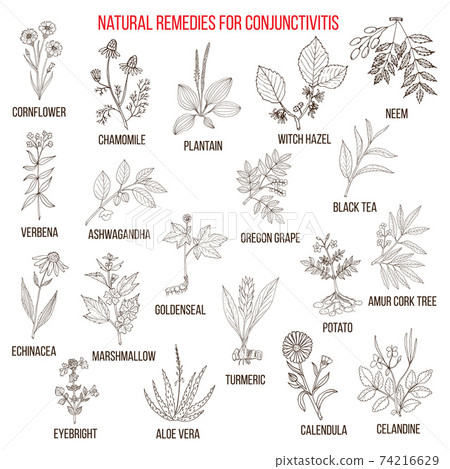 Best herbal remedies for conjunctivitis. 74216629