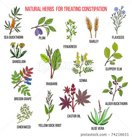 Best herbal remedies for treating constipation Best herbal remedies for treating constipation 74216631