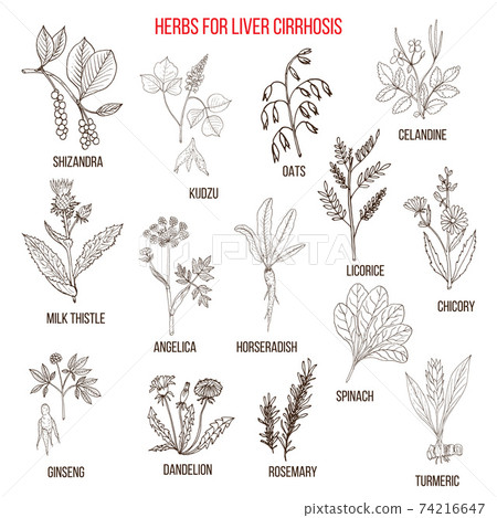 Best herbal remedies for liver cirrosis 74216647