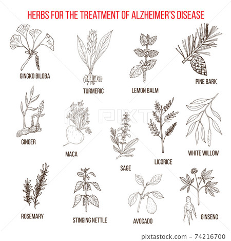 Collection of herbs for Alzheimer disease 74216700