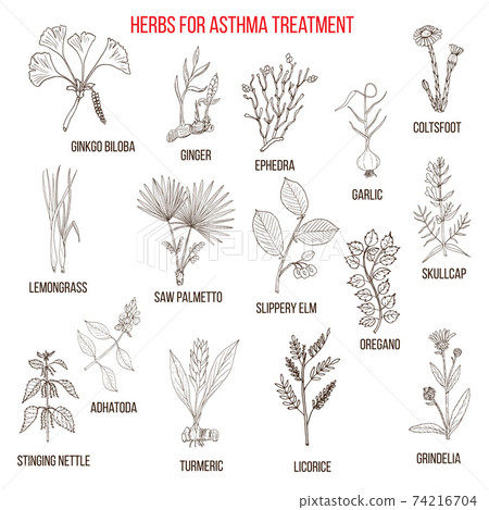 Natural herbs collection for asthma treatment 74216704