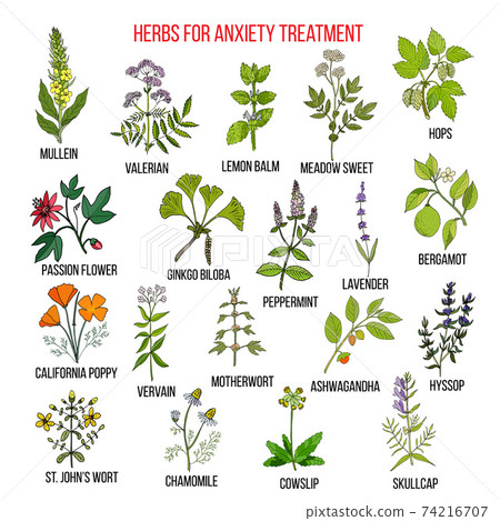 Collection of herbs for anxiety treatment 74216707