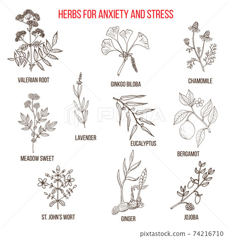 Anxiety treatment herbs collection 74216710
