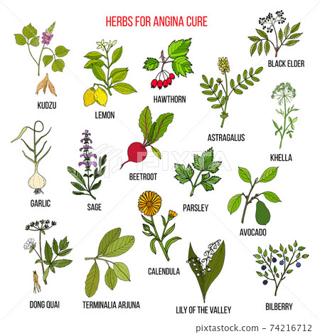 Collection of herbs for angina treatment 74216712